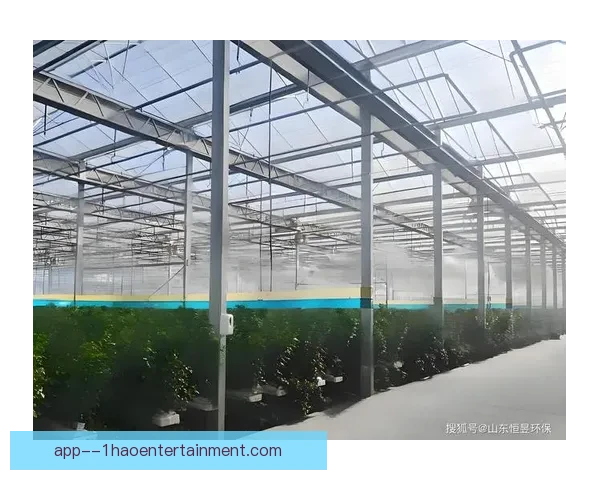 2026世界杯墨西哥赛区应对高温升级 增设球场降温喷雾系统 2026世界杯墨西哥赛区应对高温升级 增设球场降温喷雾系统